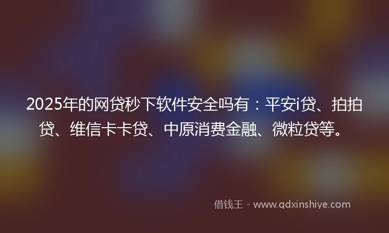 2025年的网贷秒下软件安全吗有：平安i贷、拍拍贷、维信卡卡贷、中原消费金融、微粒贷等。