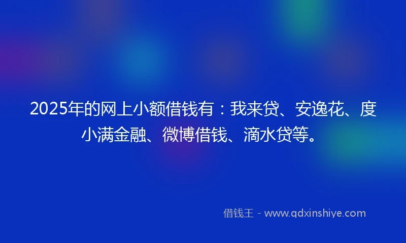 2025年的网上小额借钱有：我来贷、安逸花、度小满金融、微博借钱、滴水贷等。