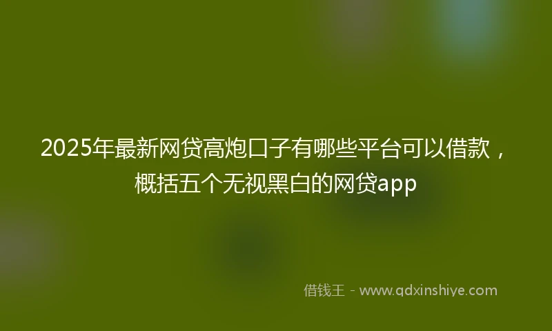 2025年最新网贷高炮口子有哪些平台可以借款，概括五个无视黑白的网贷app