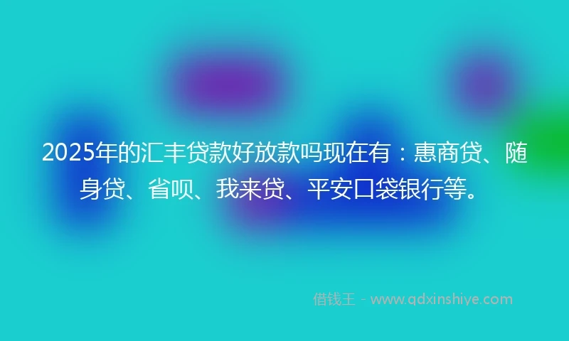 2025年的汇丰贷款好放款吗现在有：惠商贷、随身贷、省呗、我来贷、平安口袋银行等。