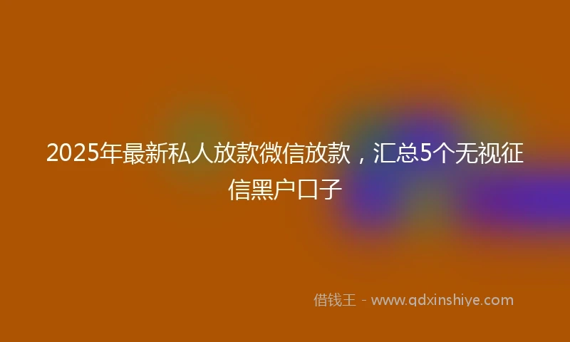 2025年最新私人放款微信放款，汇总5个无视征信黑户口子
