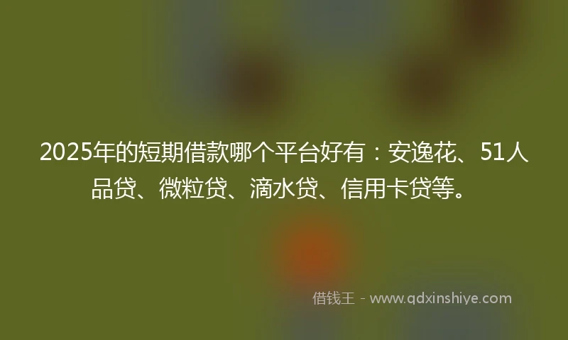 2025年的短期借款哪个平台好有：安逸花、51人品贷、微粒贷、滴水贷、信用卡贷等。