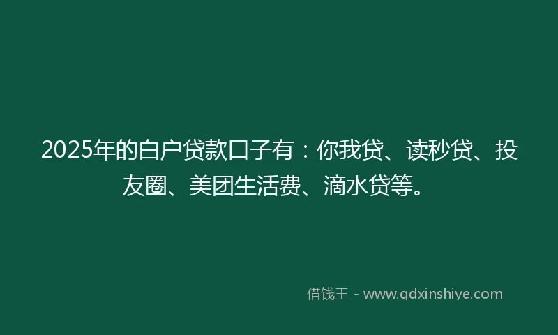 2025年的白户贷款口子有：你我贷、读秒贷、投友圈、美团生活费、滴水贷等。