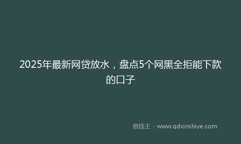 2025年最新网贷放水，盘点5个网黑全拒能下款的口子