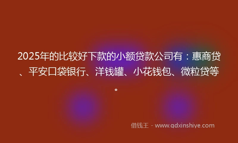 2025年的比较好下款的小额贷款公司有：惠商贷、平安口袋银行、洋钱罐、小花钱包、微粒贷等。