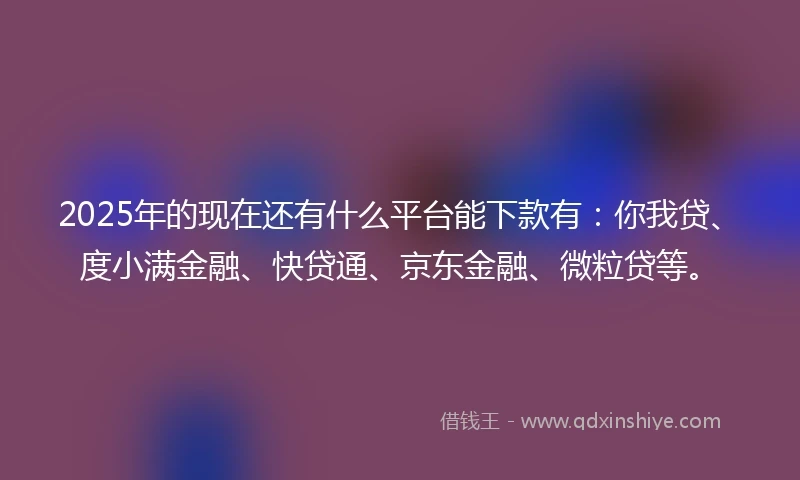 2025年的现在还有什么平台能下款有：你我贷、度小满金融、快贷通、京东金融、微粒贷等。