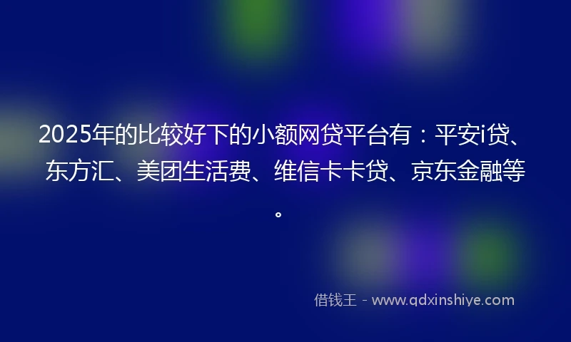 2025年的比较好下的小额网贷平台有：平安i贷、东方汇、美团生活费、维信卡卡贷、京东金融等。