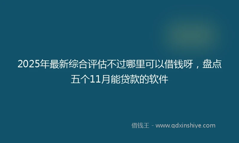 2025年最新综合评估不过哪里可以借钱呀，盘点五个11月能贷款的软件