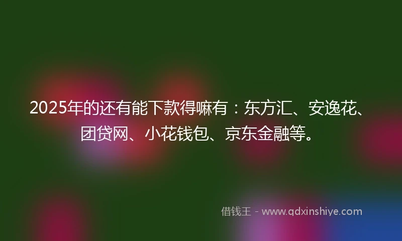 2025年的还有能下款得嘛有：东方汇、安逸花、团贷网、小花钱包、京东金融等。