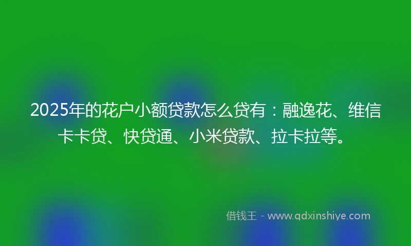 2025年的花户小额贷款怎么贷有：融逸花、维信卡卡贷、快贷通、小米贷款、拉卡拉等。
