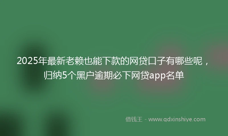2025年最新老赖也能下款的网贷口子有哪些呢，归纳5个黑户逾期必下网贷app名单