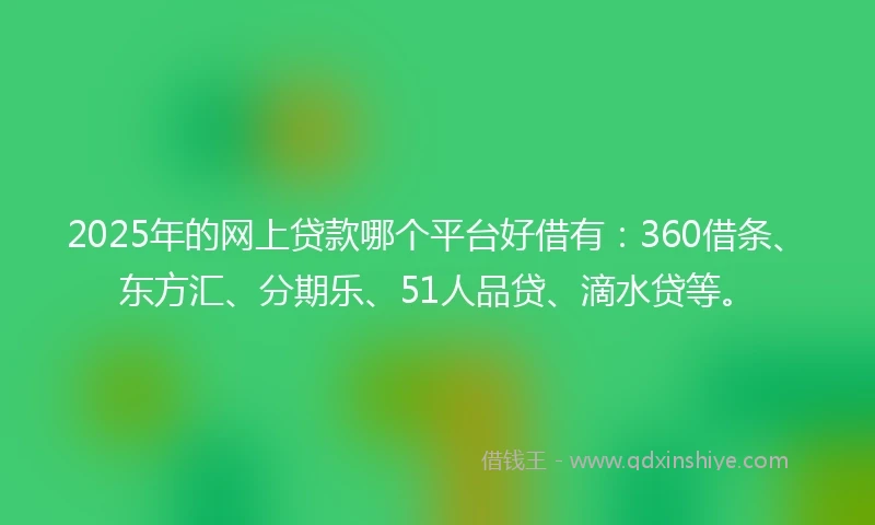 2025年的网上贷款哪个平台好借有：360借条、东方汇、分期乐、51人品贷、滴水贷等。