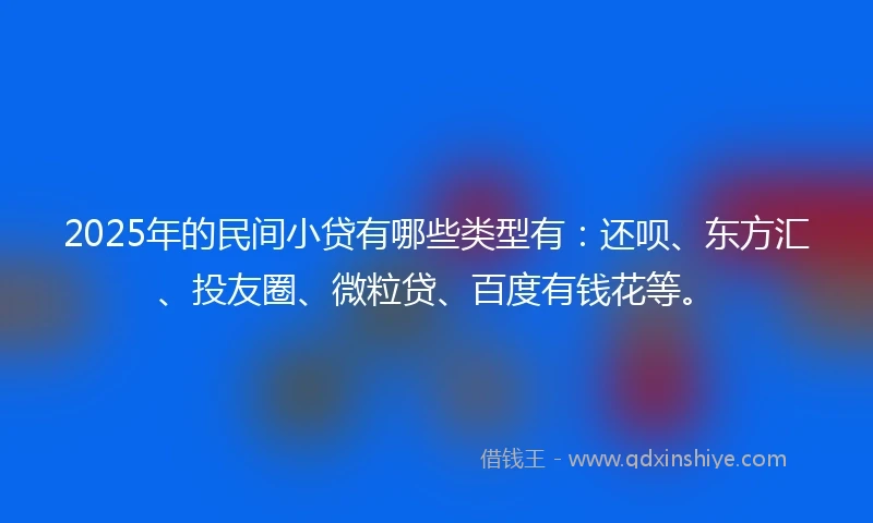 2025年的民间小贷有哪些类型有：还呗、东方汇、投友圈、微粒贷、百度有钱花等。