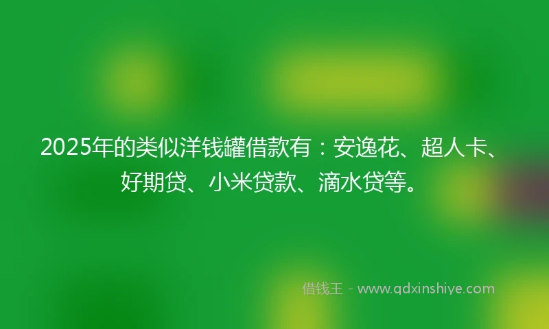 2025年的类似洋钱罐借款有：安逸花、超人卡、好期贷、小米贷款、滴水贷等。