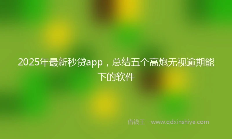 2025年最新秒贷app，总结五个高炮无视逾期能下的软件