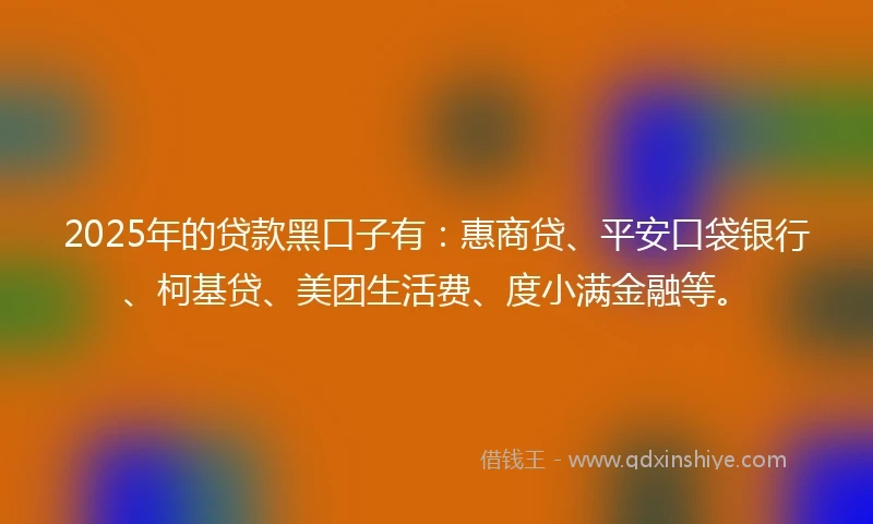 2025年的贷款黑口子有：惠商贷、平安口袋银行、柯基贷、美团生活费、度小满金融等。
