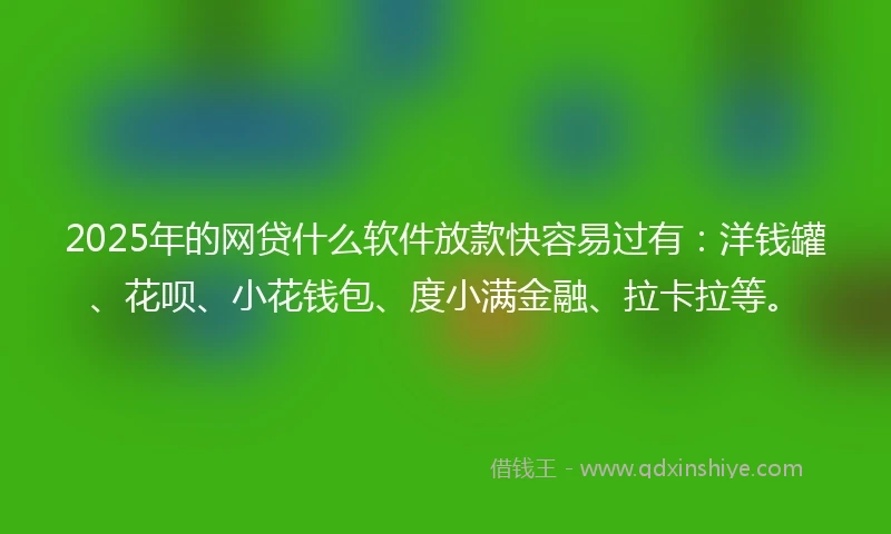 2025年的网贷什么软件放款快容易过有：洋钱罐、花呗、小花钱包、度小满金融、拉卡拉等。