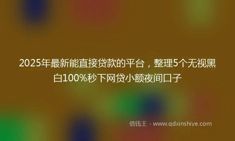 2025年最新能直接贷款的平台，整理5个无视黑白100%秒下网贷小额夜间口子