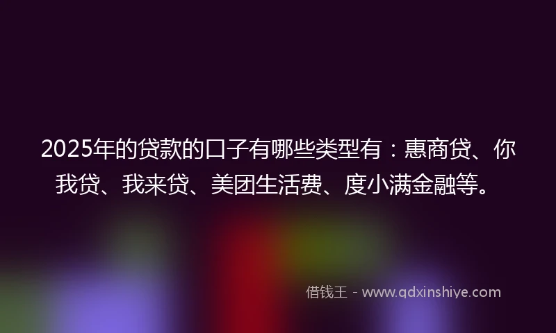 2025年的贷款的口子有哪些类型有：惠商贷、你我贷、我来贷、美团生活费、度小满金融等。
