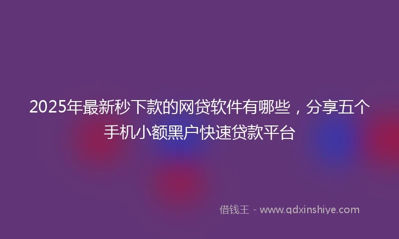 2025年最新秒下款的网贷软件有哪些，分享五个手机小额黑户快速贷款平台