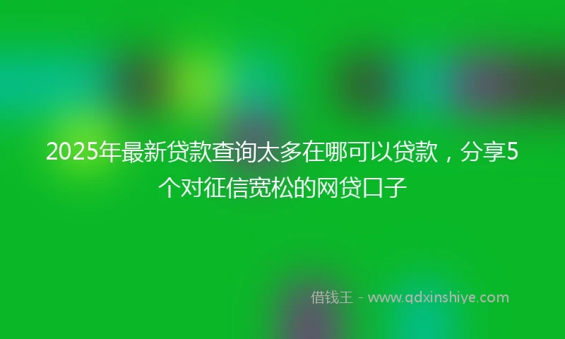 2025年最新贷款查询太多在哪可以贷款，分享5个对征信宽松的网贷口子