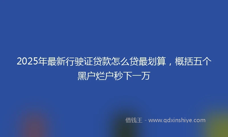 2025年最新行驶证贷款怎么贷最划算，概括五个黑户烂户秒下一万