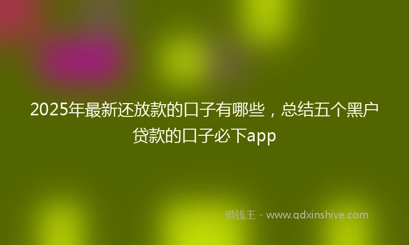2025年最新还放款的口子有哪些，总结五个黑户贷款的口子必下app