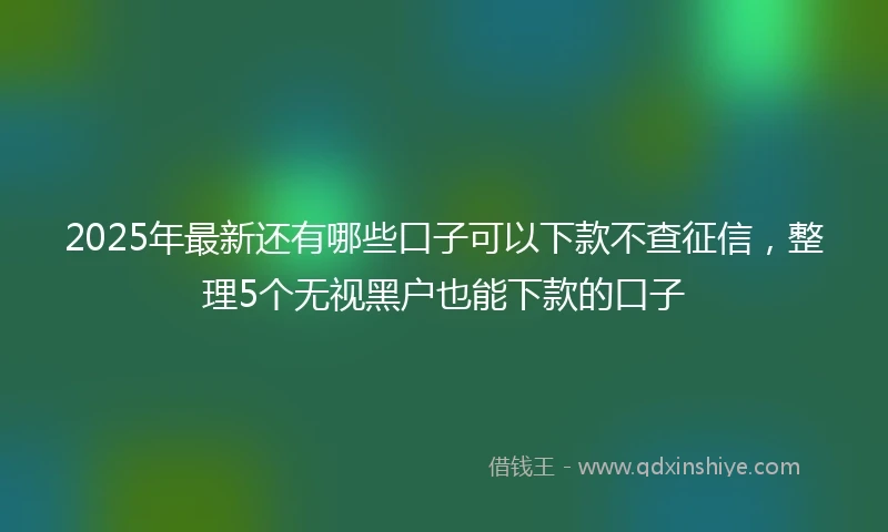 2025年最新还有哪些口子可以下款不查征信，整理5个无视黑户也能下款的口子