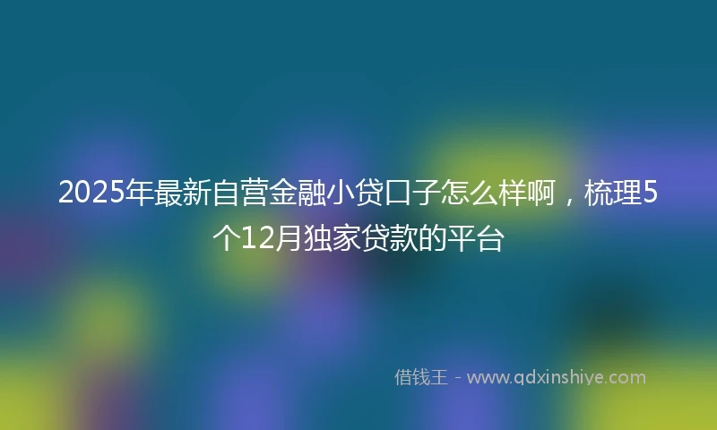 2025年最新自营金融小贷口子怎么样啊，梳理5个12月独家贷款的平台