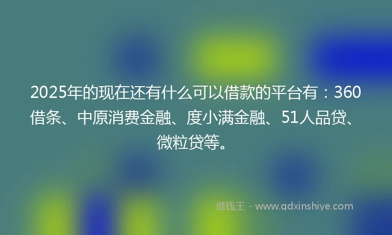2025年的现在还有什么可以借款的平台有：360借条、中原消费金融、度小满金融、51人品贷、微粒贷等。