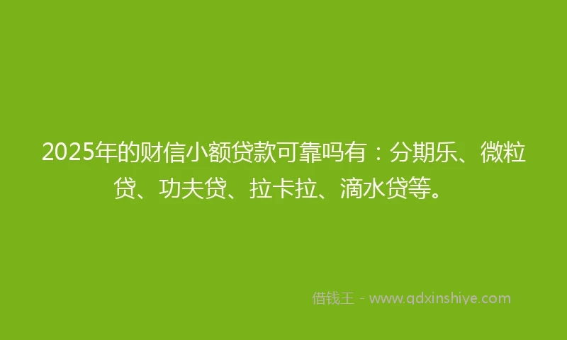2025年的财信小额贷款可靠吗有：分期乐、微粒贷、功夫贷、拉卡拉、滴水贷等。