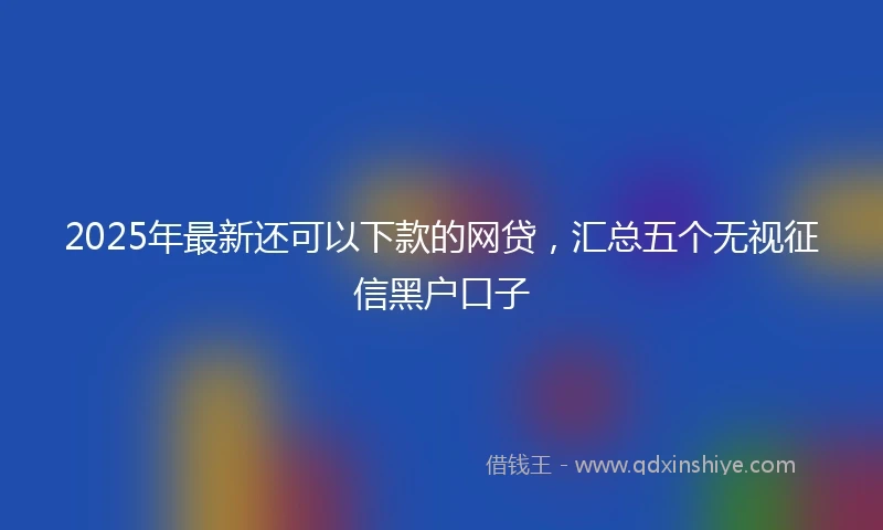 2025年最新还可以下款的网贷，汇总五个无视征信黑户口子