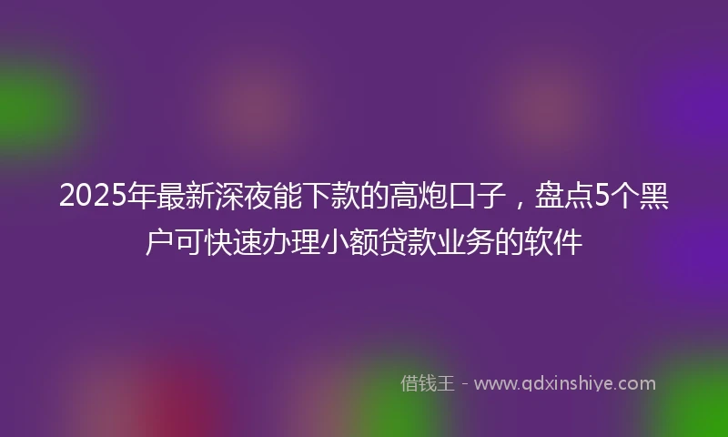 2025年最新深夜能下款的高炮口子，盘点5个黑户可快速办理小额贷款业务的软件