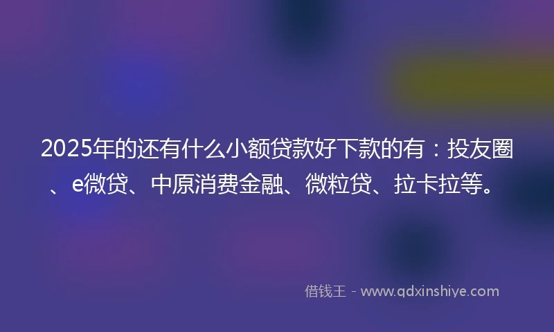 2025年的还有什么小额贷款好下款的有：投友圈、e微贷、中原消费金融、微粒贷、拉卡拉等。