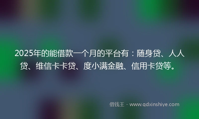 2025年的能借款一个月的平台有：随身贷、人人贷、维信卡卡贷、度小满金融、信用卡贷等。