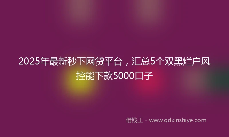 2025年最新秒下网贷平台，汇总5个双黑烂户风控能下款5000口子