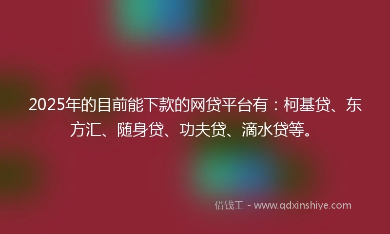 2025年的目前能下款的网贷平台有：柯基贷、东方汇、随身贷、功夫贷、滴水贷等。