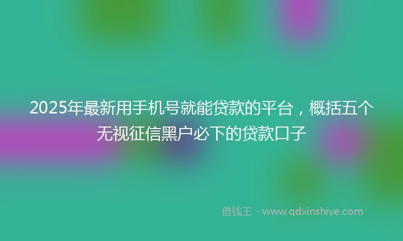 2025年最新用手机号就能贷款的平台，概括五个无视征信黑户必下的贷款口子