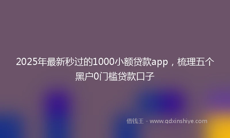 2025年最新秒过的1000小额贷款app，梳理五个黑户0门槛贷款口子