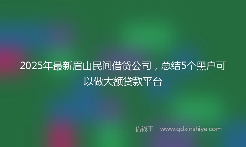 2025年最新眉山民间借贷公司，总结5个黑户可以做大额贷款平台