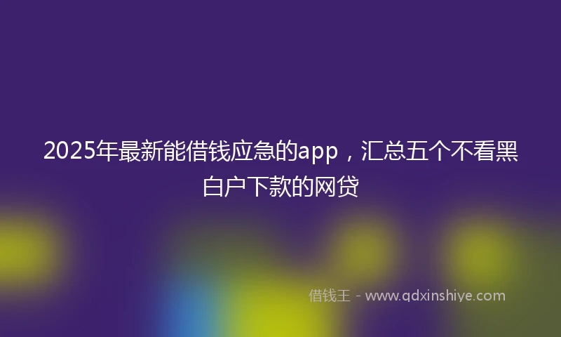 2025年最新能借钱应急的app，汇总五个不看黑白户下款的网贷