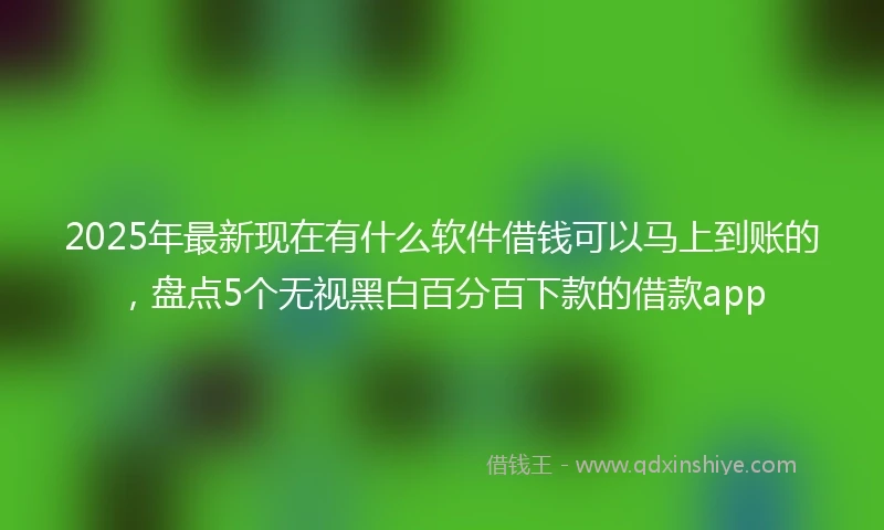 2025年最新现在有什么软件借钱可以马上到账的，盘点5个无视黑白百分百下款的借款app