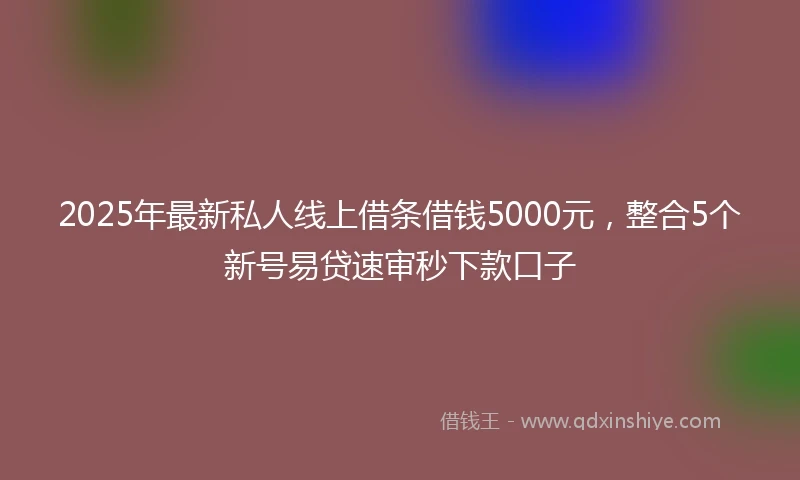 2025年最新私人线上借条借钱5000元，整合5个新号易贷速审秒下款口子