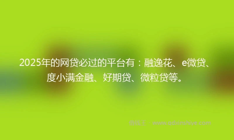 2025年的网贷必过的平台有：融逸花、e微贷、度小满金融、好期贷、微粒贷等。