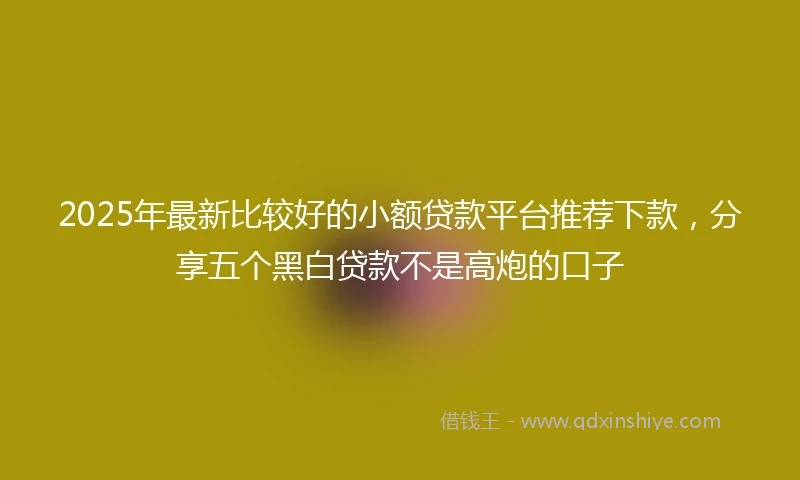 2025年最新比较好的小额贷款平台推荐下款，分享五个黑白贷款不是高炮的口子