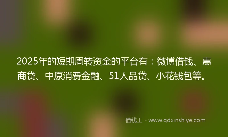 2025年的短期周转资金的平台有：微博借钱、惠商贷、中原消费金融、51人品贷、小花钱包等。