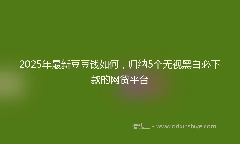 2025年最新豆豆钱如何，归纳5个无视黑白必下款的网贷平台