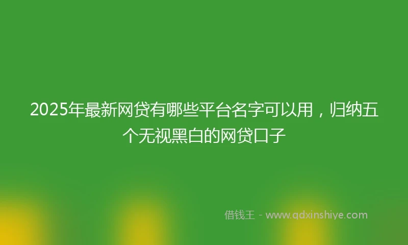 2025年最新网贷有哪些平台名字可以用，归纳五个无视黑白的网贷口子