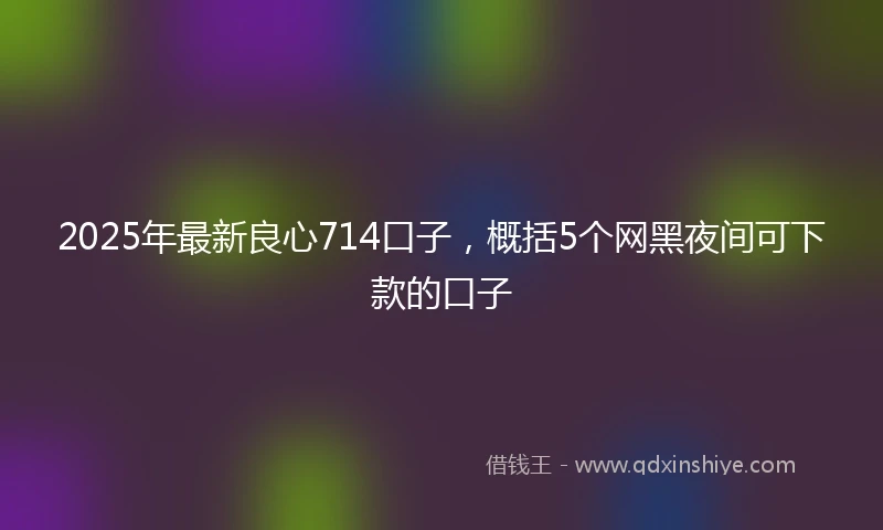 2025年最新良心714口子,概括5个网黑夜间可下款的口子