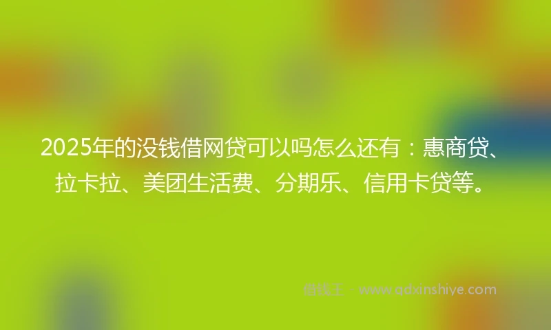 2025年的没钱借网贷可以吗怎么还有：惠商贷、拉卡拉、美团生活费、分期乐、信用卡贷等。
